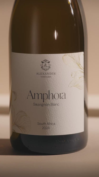 Amphora | 2025